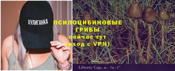 apvp Алексеевка