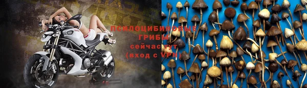 apvp Алексеевка