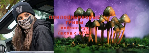 apvp Алексеевка